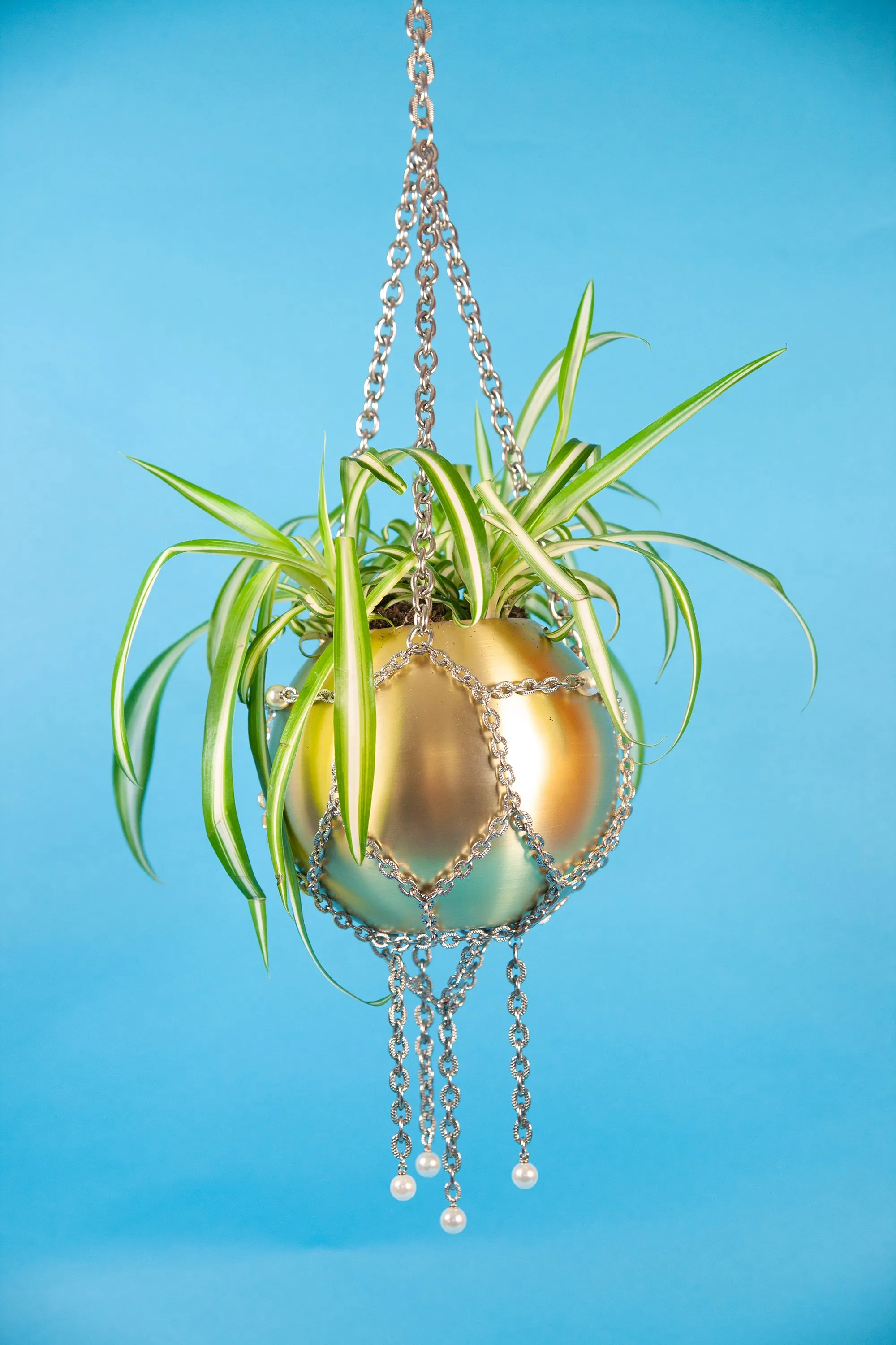 Pearl Chain Planter