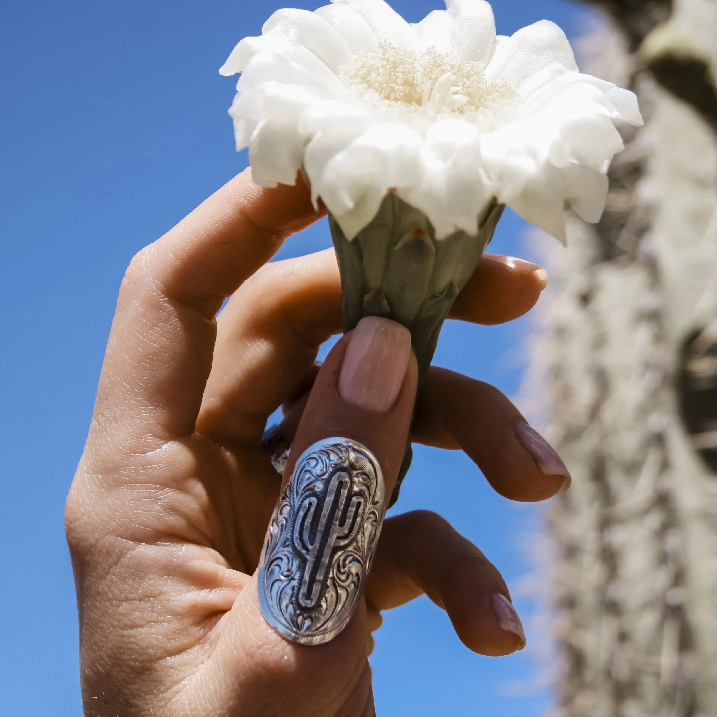 The Saguaro Statement Ring